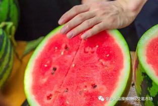 各个大学吃瓜,揭秘各大校园的“吃瓜”盛事