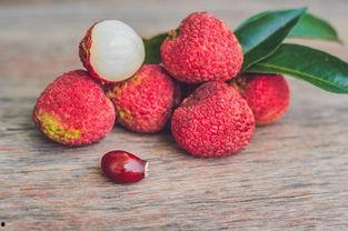 吃瓜能吃荔枝吗,夏日消暑佳果，吃瓜族也能享用的美味