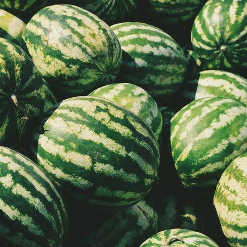 焦虑吃瓜,揭秘现代人的心理减压新潮流