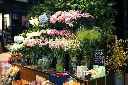 花店吃瓜的视频素材,揭秘花店日常趣事