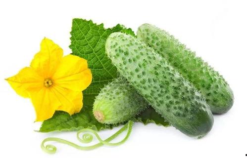 江雪柠吃瓜系统