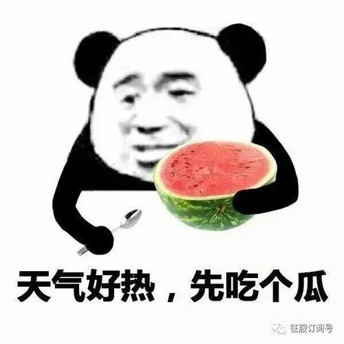 快手聊天吃瓜表情