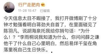 吃瓜攻略手册小说,揭秘娱乐圈幕后真相